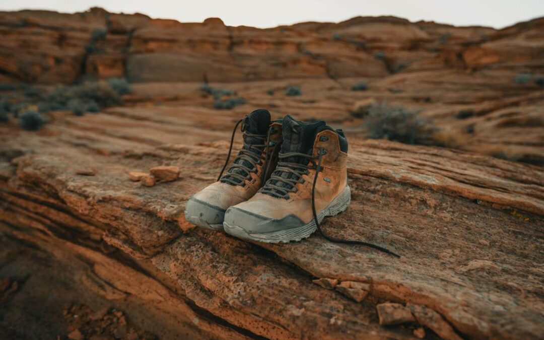 Izlet Velika planina