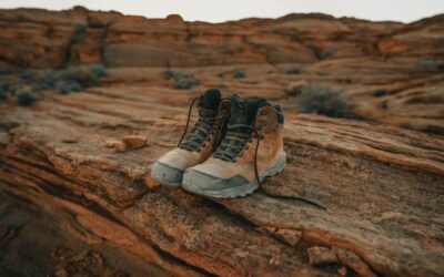 Izlet Velika planina